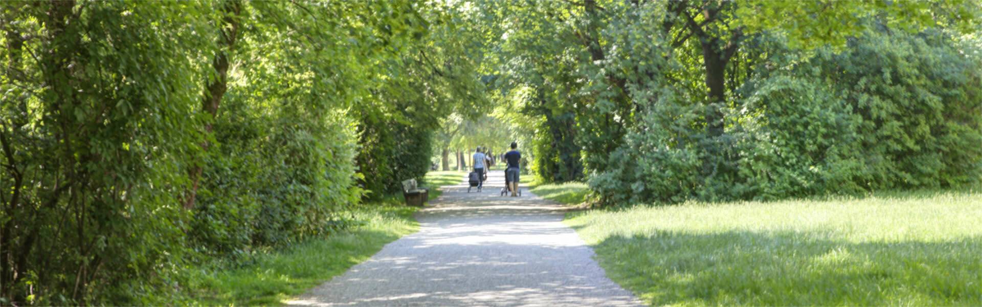 Milbertshofen Wohnung Umgebung