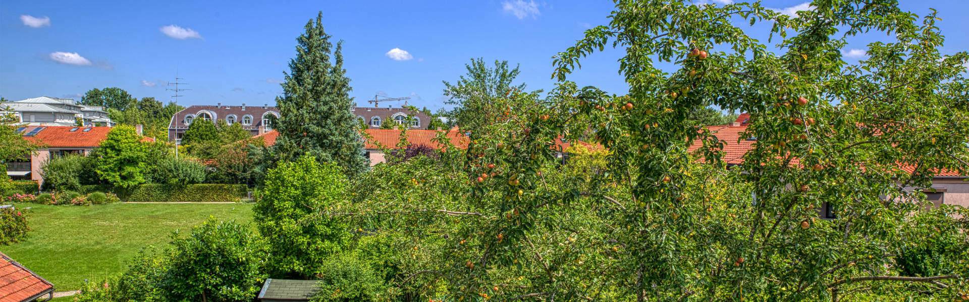 Bogenhausen DHH Garten