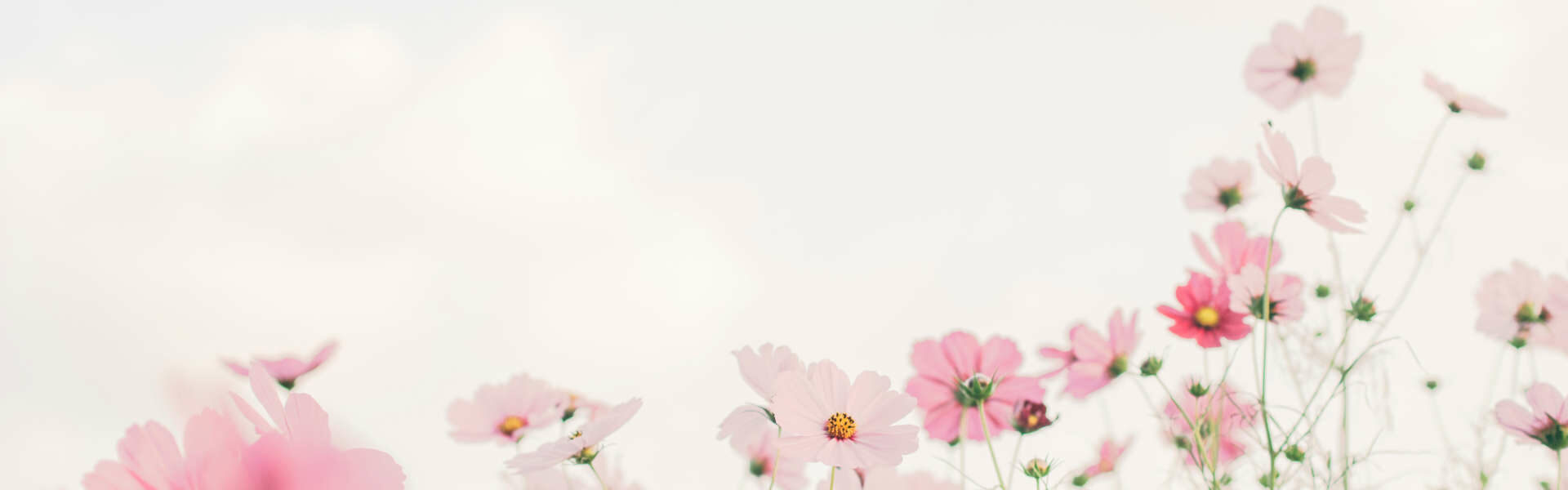 Trudering Wohnung Blume
