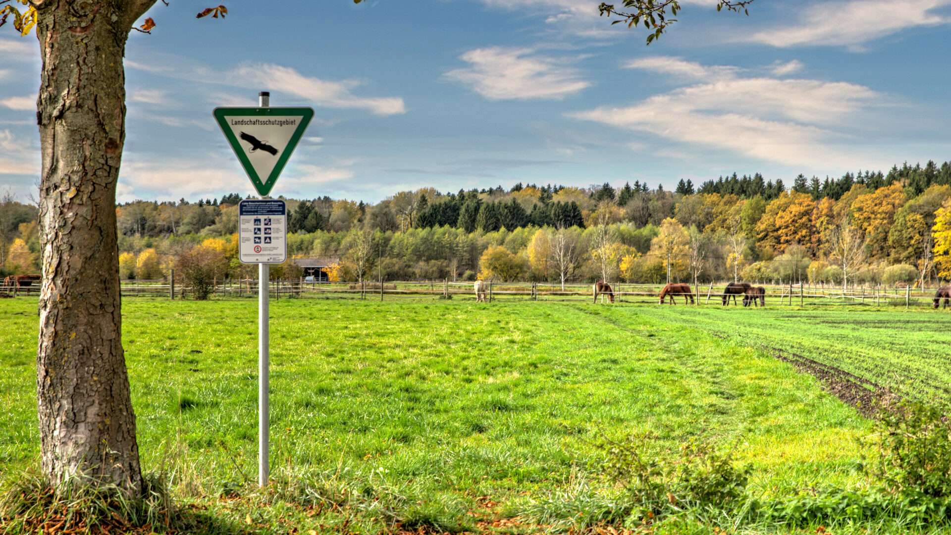 Aubinger Lohe, Naturschutzgebiet